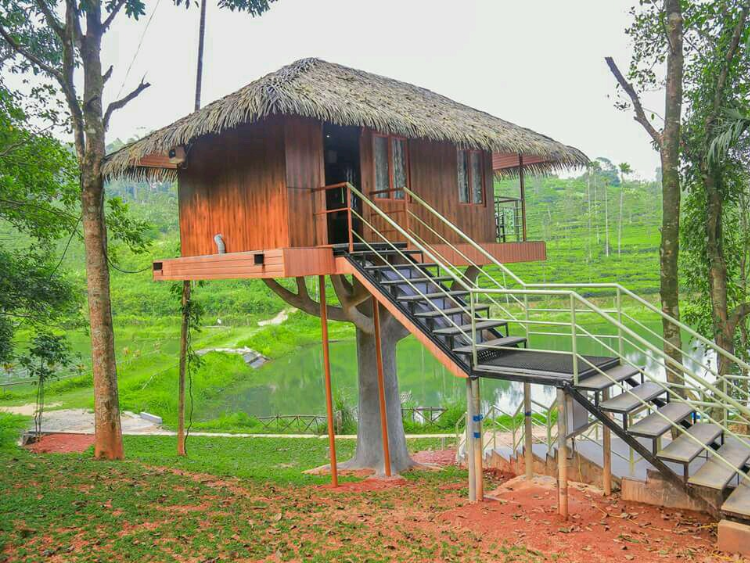 Green Berg Holiday Resorts - Idukki, Kerala